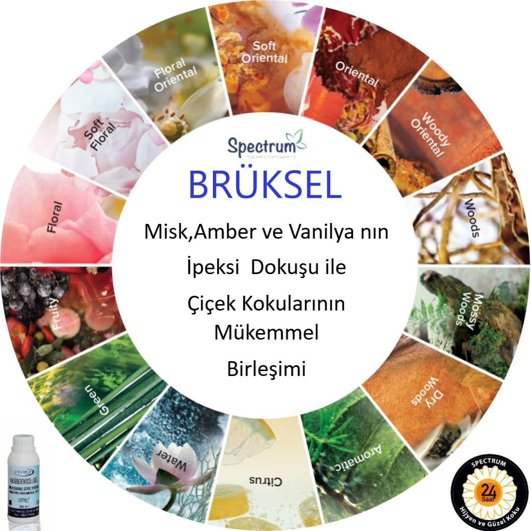 bruksel